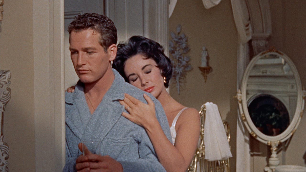 Cat on a Hot Tin Roof still 6