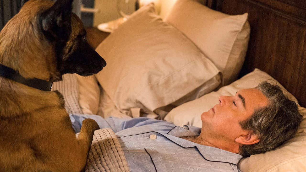 Psych 2: Lassie Come Home still 8