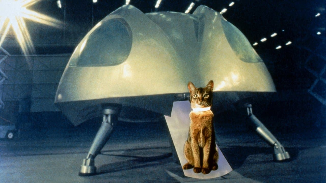 The Cat from Outer Space still 3