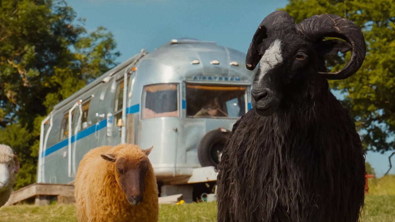 The Sheep Detectives still 6