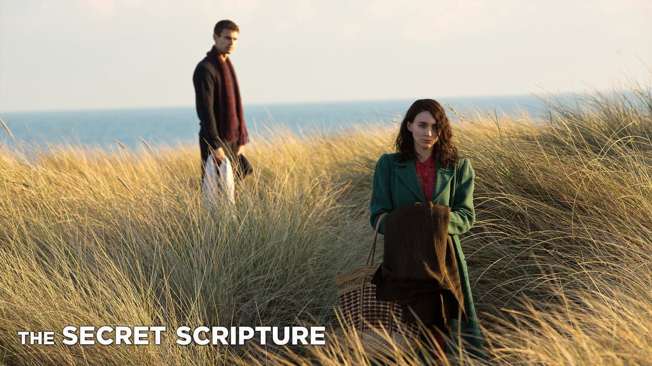 The Secret Scripture still 6