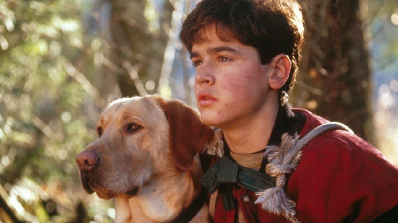 Far from Home: The Adventures of Yellow Dog still 2