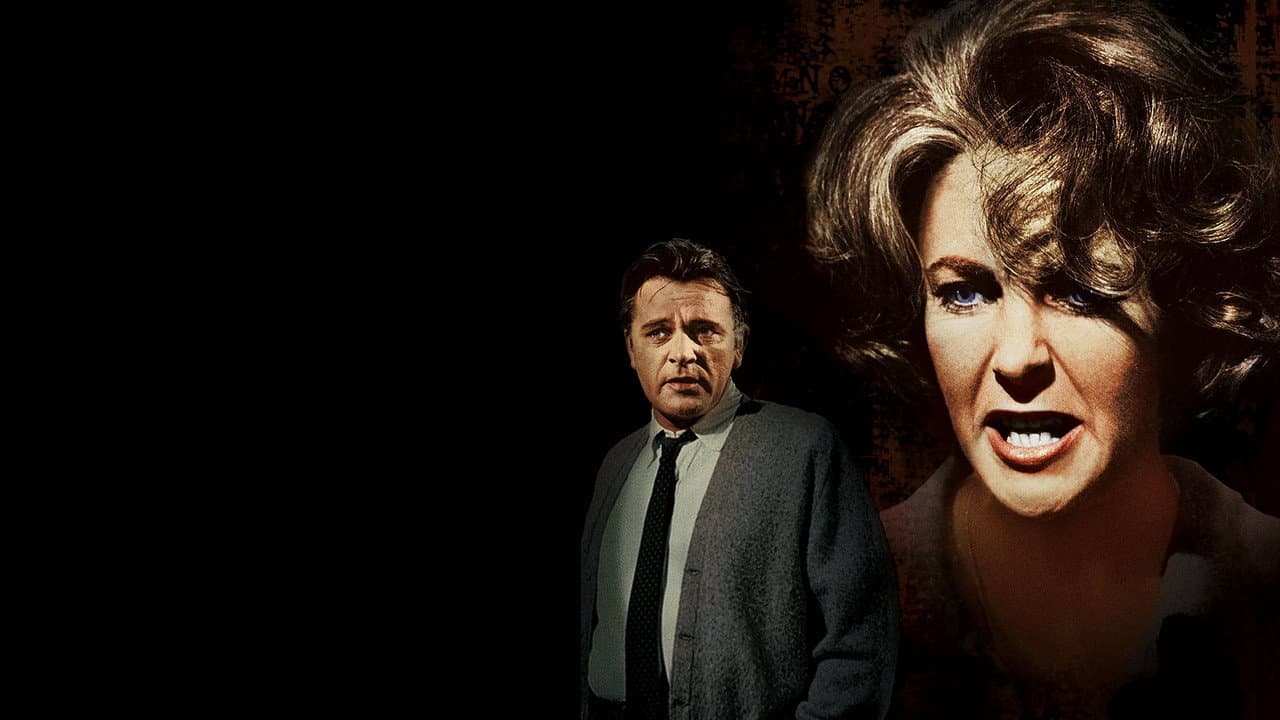 Who's Afraid of Virginia Woolf? still 7