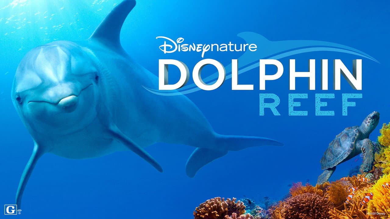 Dolphin Reef still 6