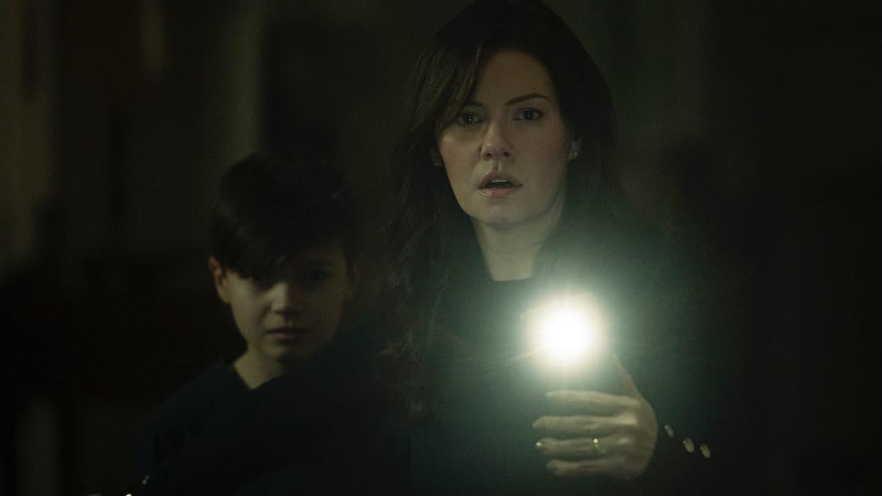 The Cellar still 7