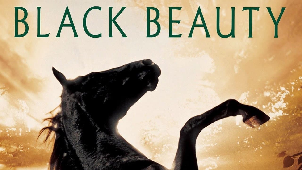 Black Beauty still 5