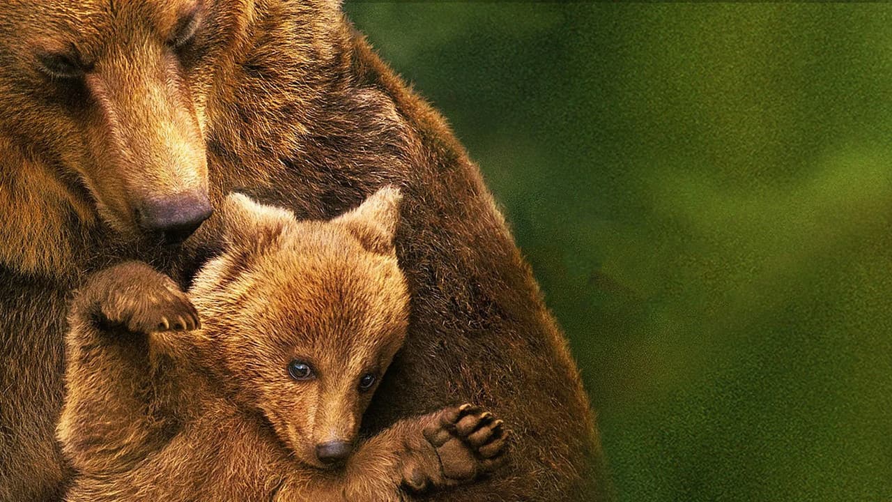 Bears still 2