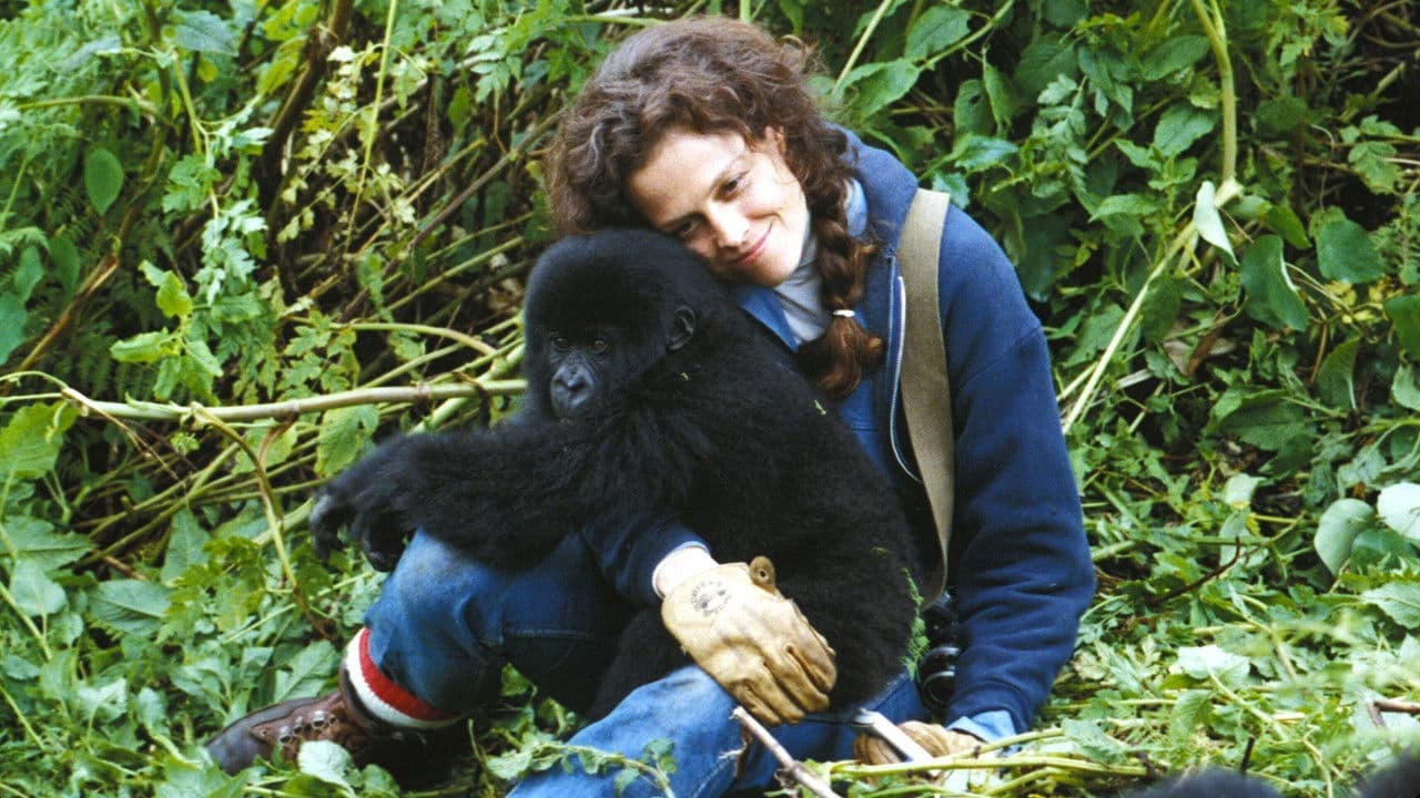 Gorillas in the Mist still 3