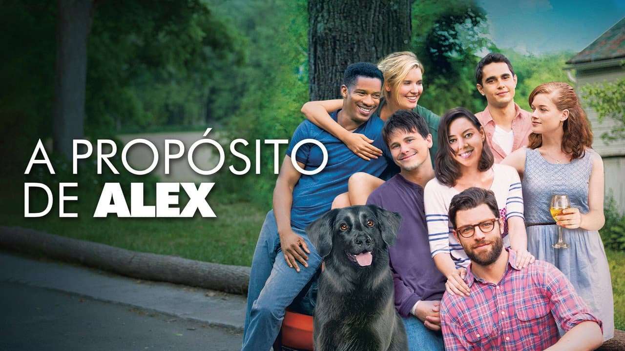 About Alex still 3