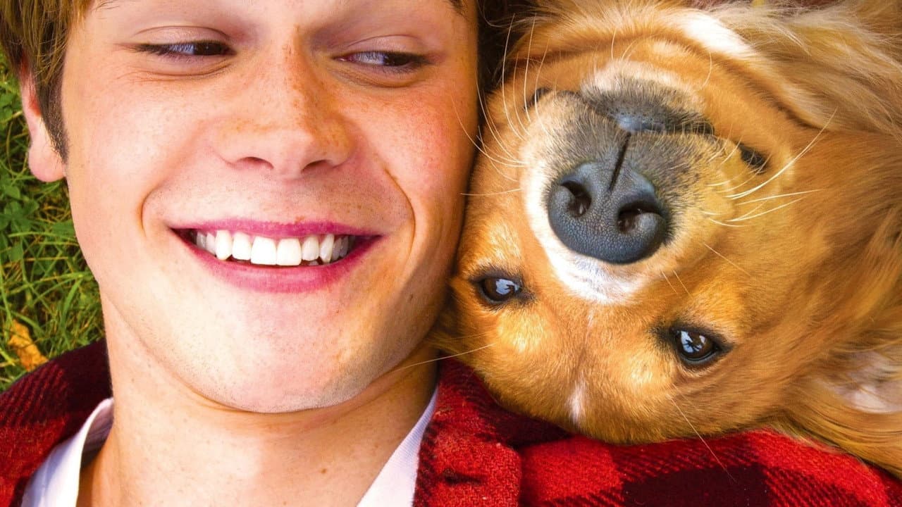 A Dog's Purpose still 5