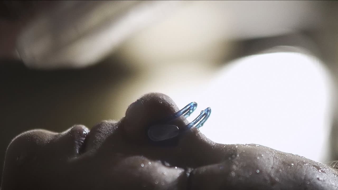 Upstream Color still 3