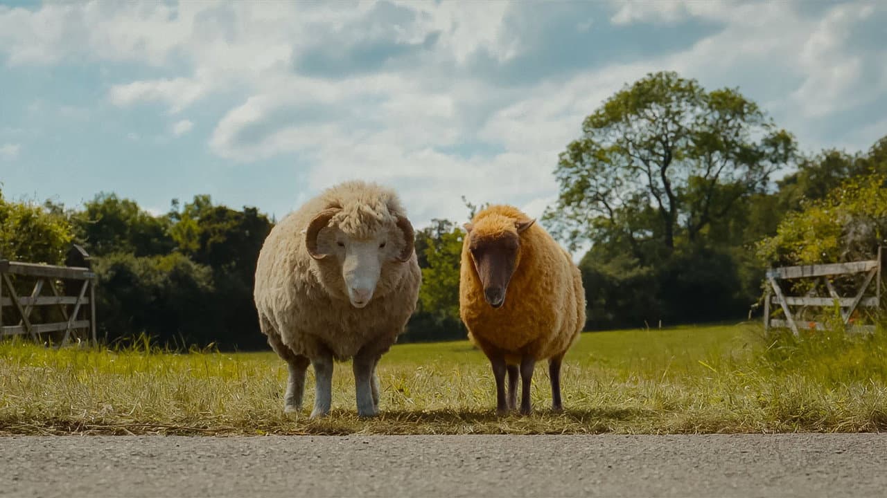 The Sheep Detectives still 7