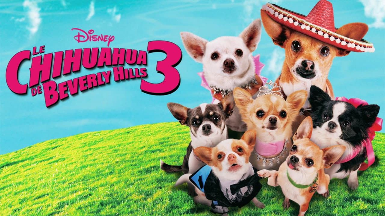 Beverly Hills Chihuahua 3: Viva la Fiesta! still 1