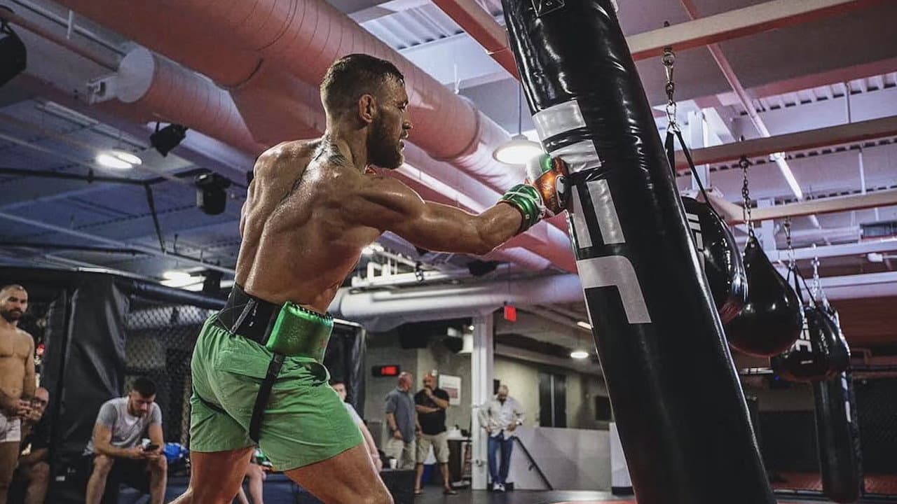 Conor McGregor: Notorious still 2