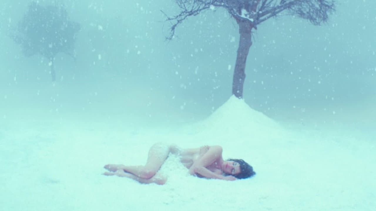 White Bird in a Blizzard still 6