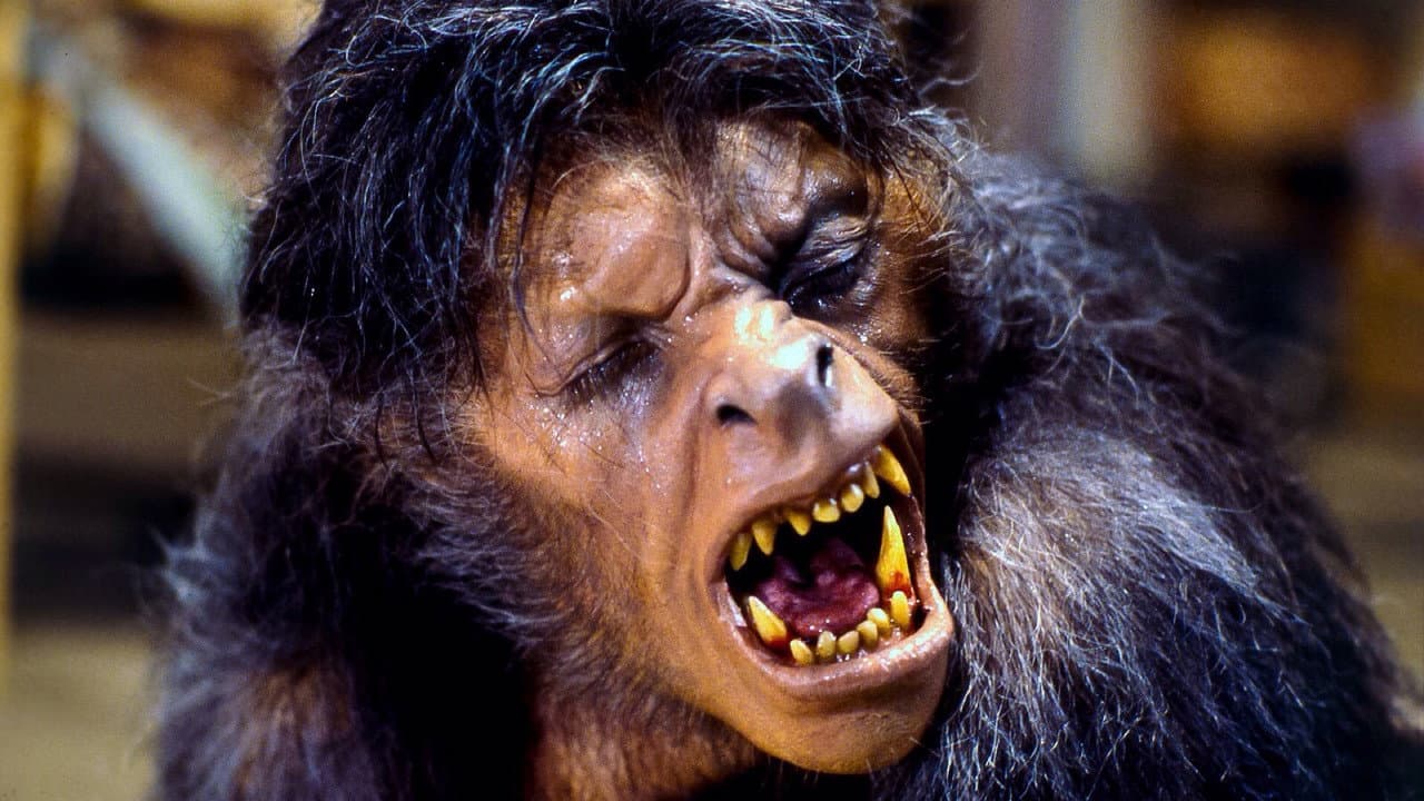 An American Werewolf in London still 3