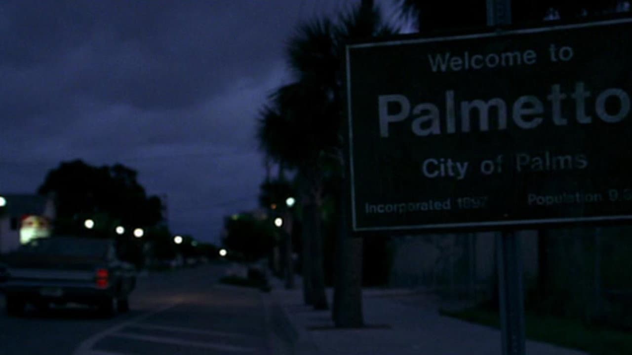 Palmetto still 8