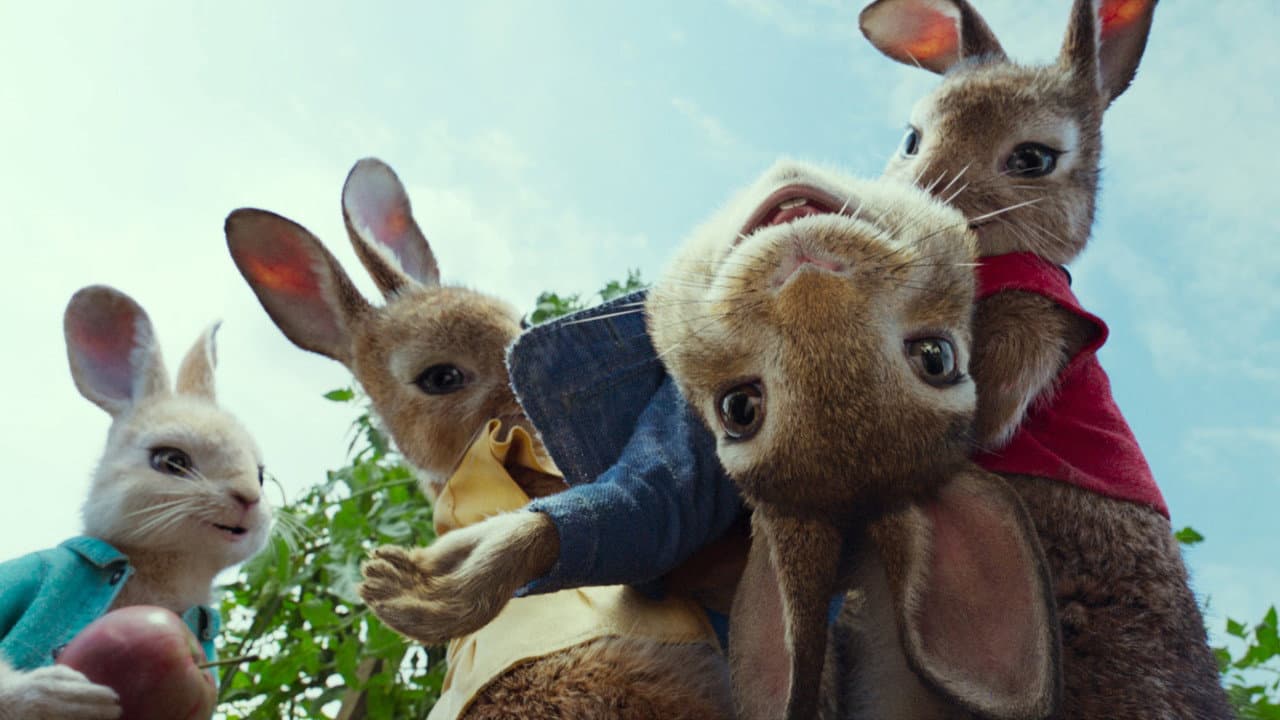 Peter Rabbit still 4