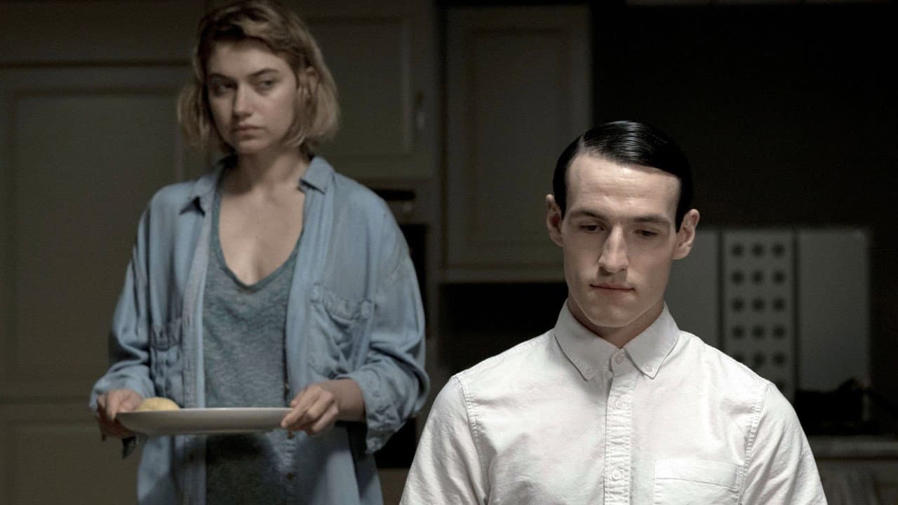 Vivarium still 5