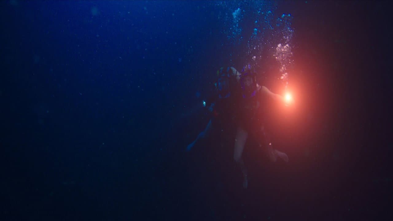 47 Meters Down still 4