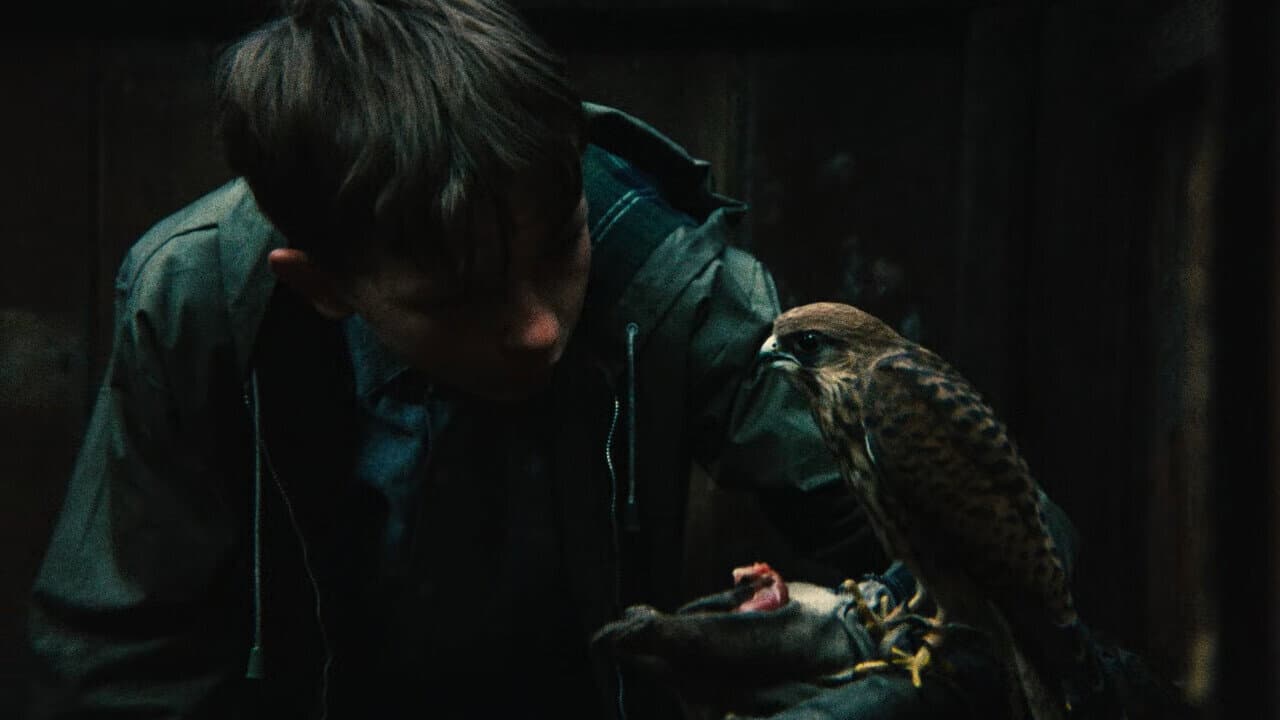 Kes still 2