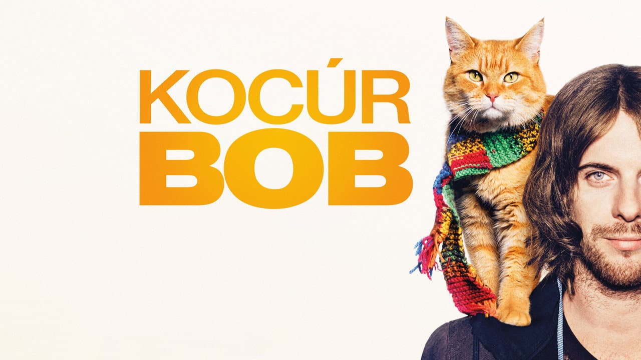 A Street Cat Named Bob still 2