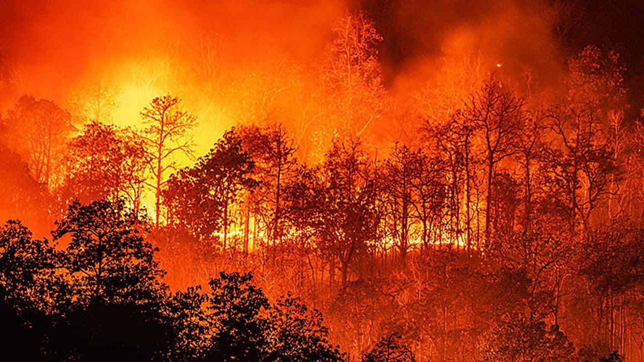 On Fire still 4