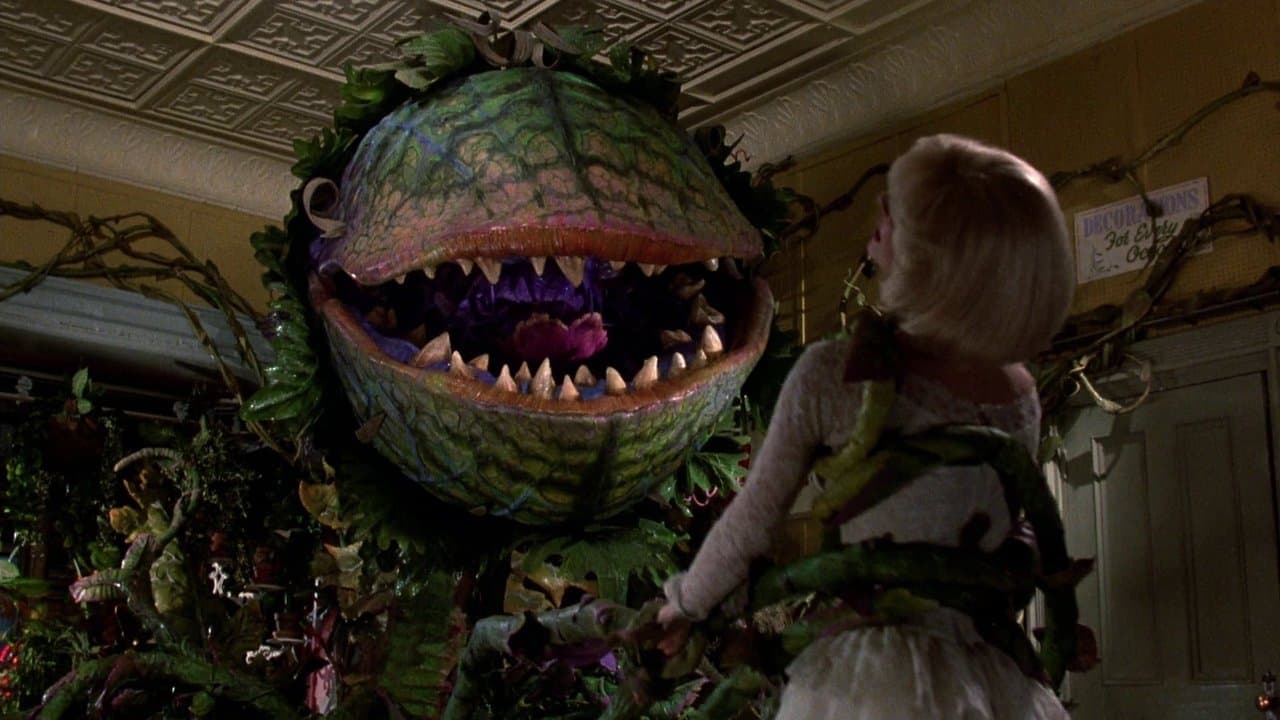 Little Shop of Horrors still 3