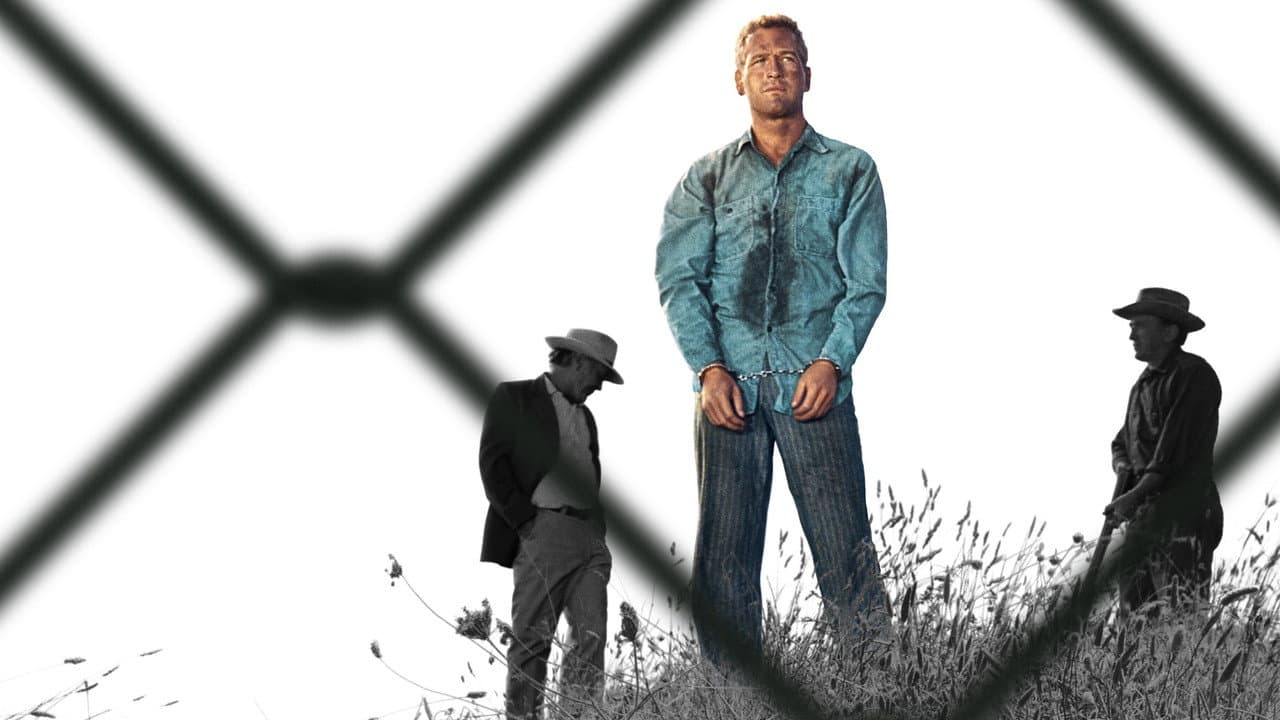 Cool Hand Luke still 3