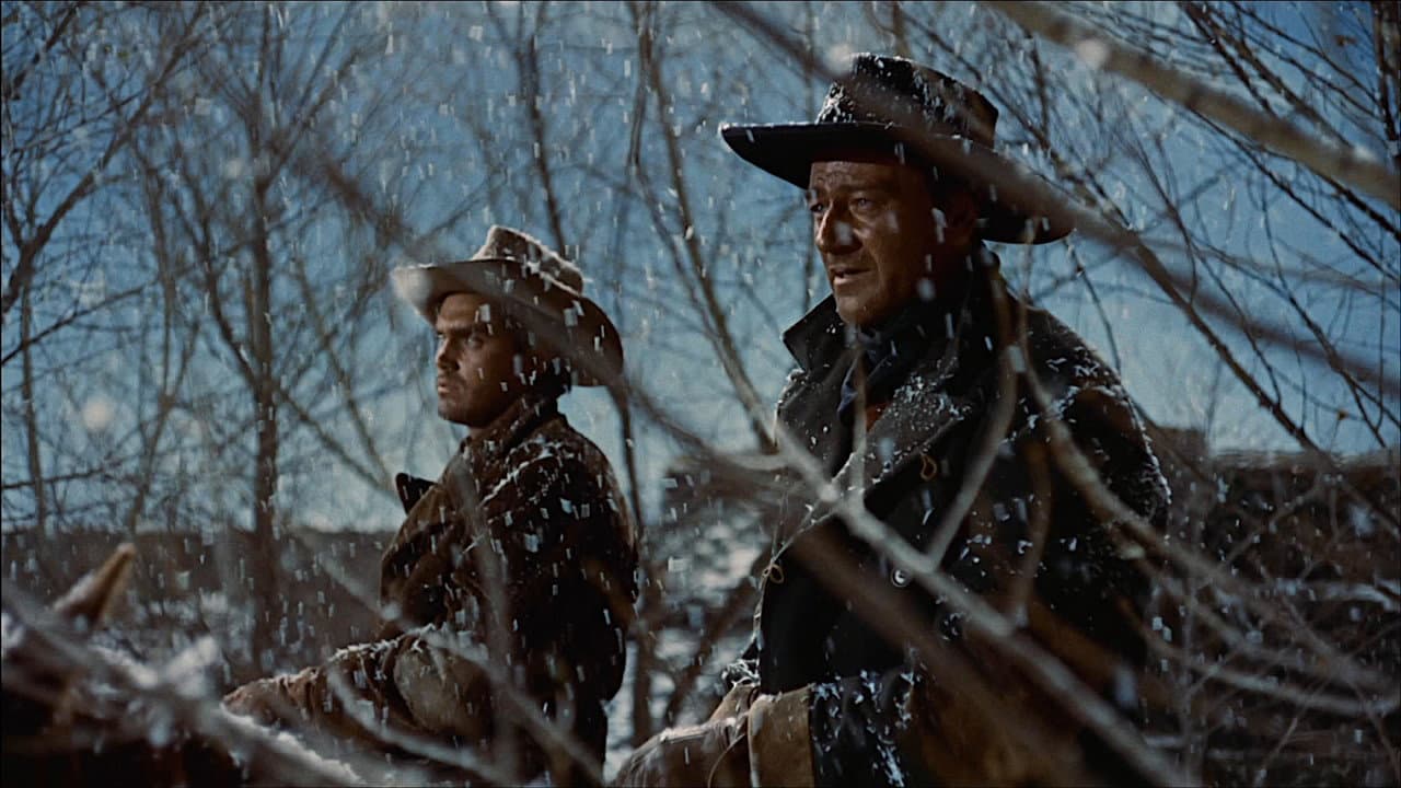 The Searchers still 7