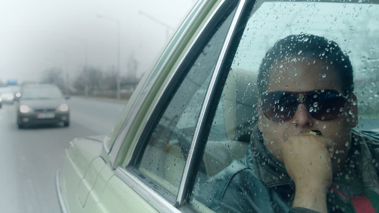War Dogs still 2