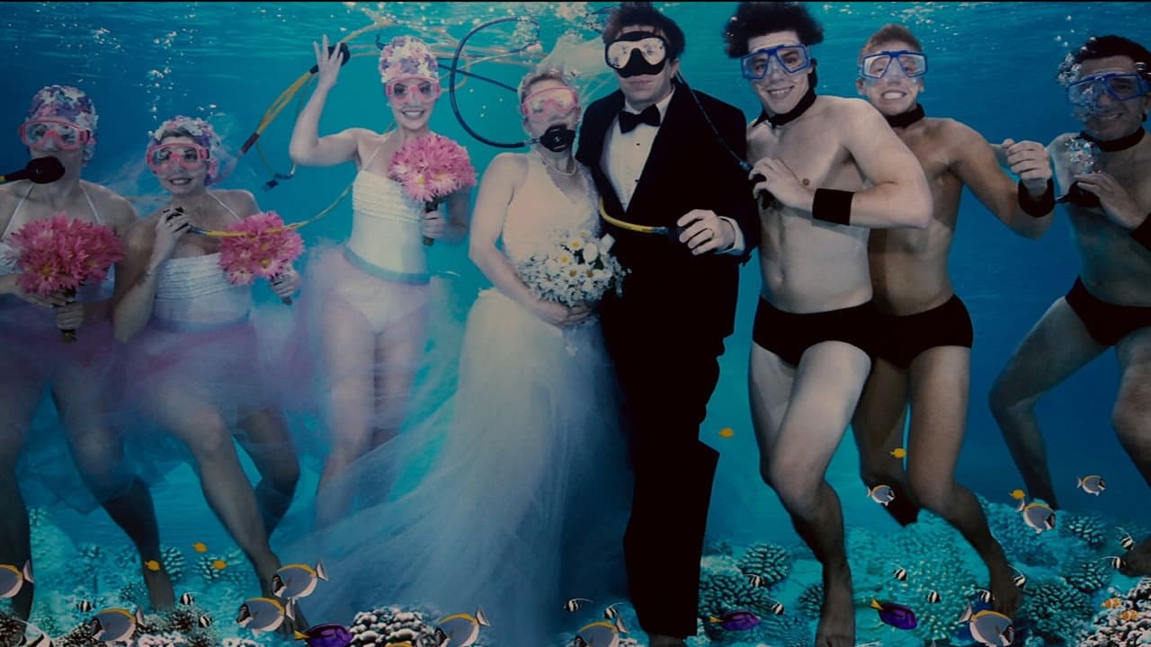 27 Dresses still 6