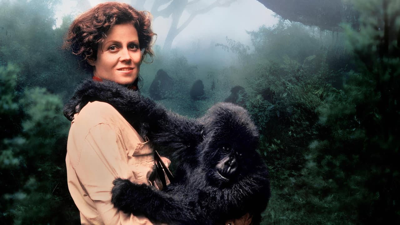 Gorillas in the Mist still 7
