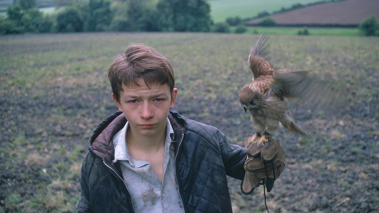 Kes still 6