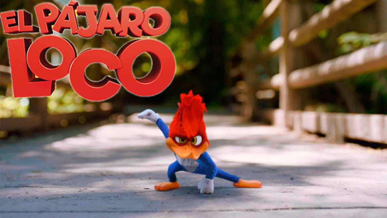 Woody Woodpecker still 7