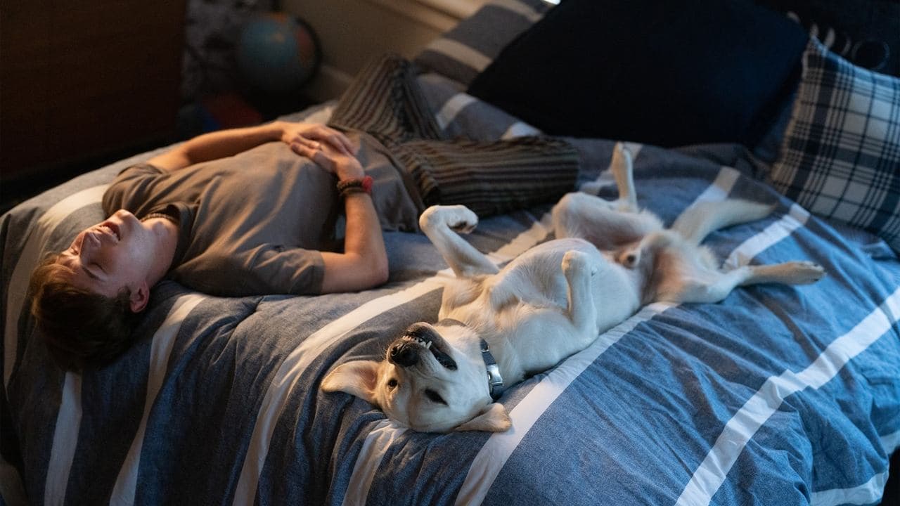 Dog Gone still 1