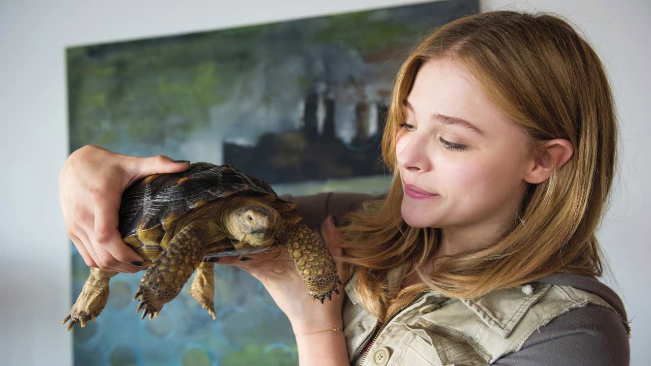 Laggies still 8