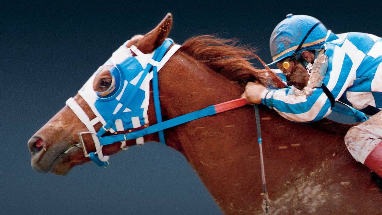 Secretariat still 4