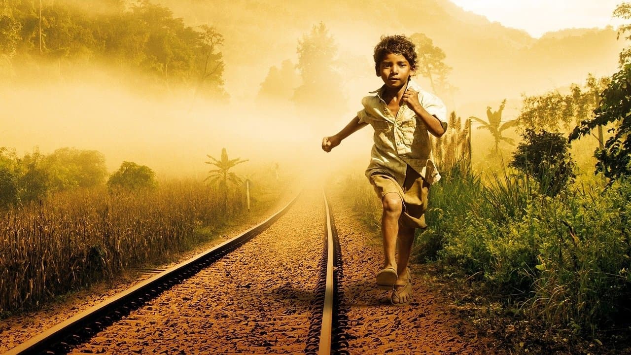 Lion still 8