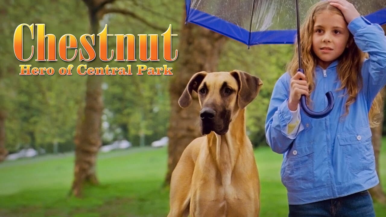 Chestnut: Hero of Central Park still 4
