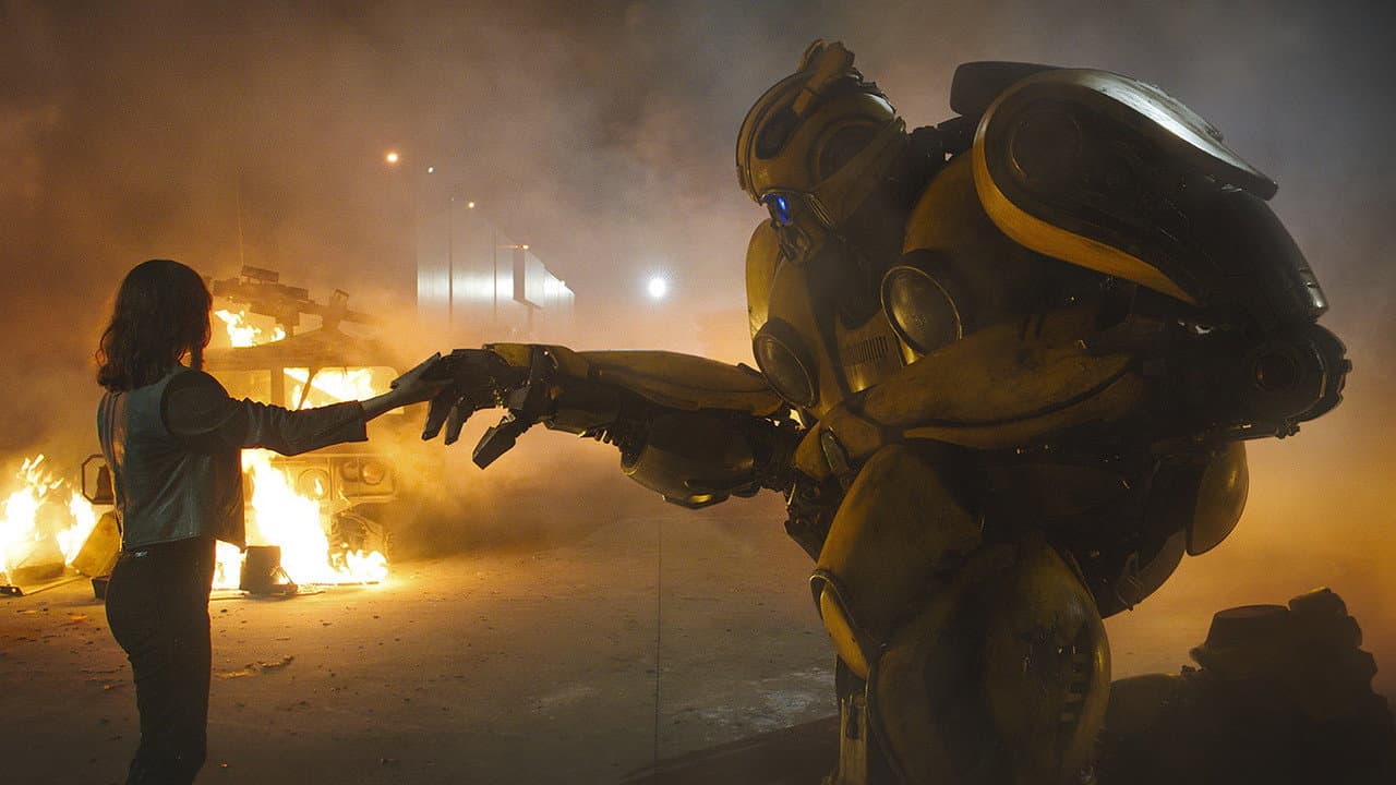 Bumblebee still 5