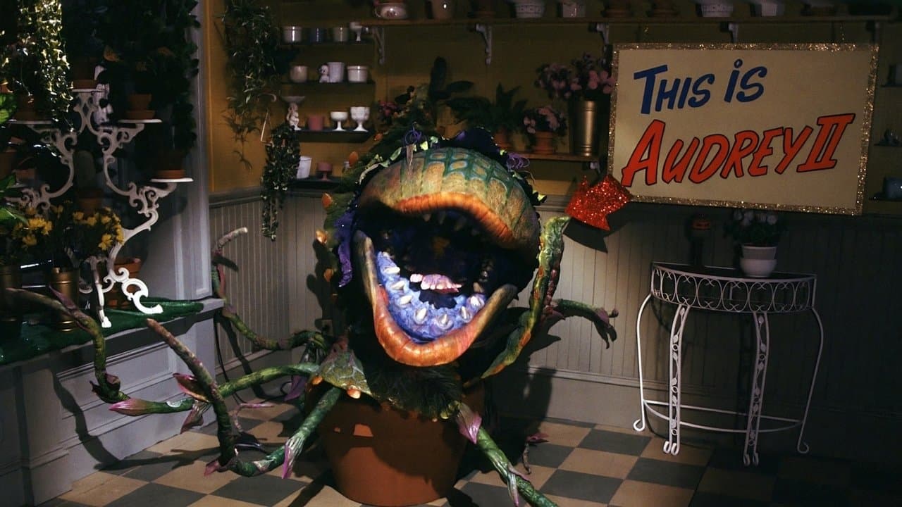 Little Shop of Horrors still 8