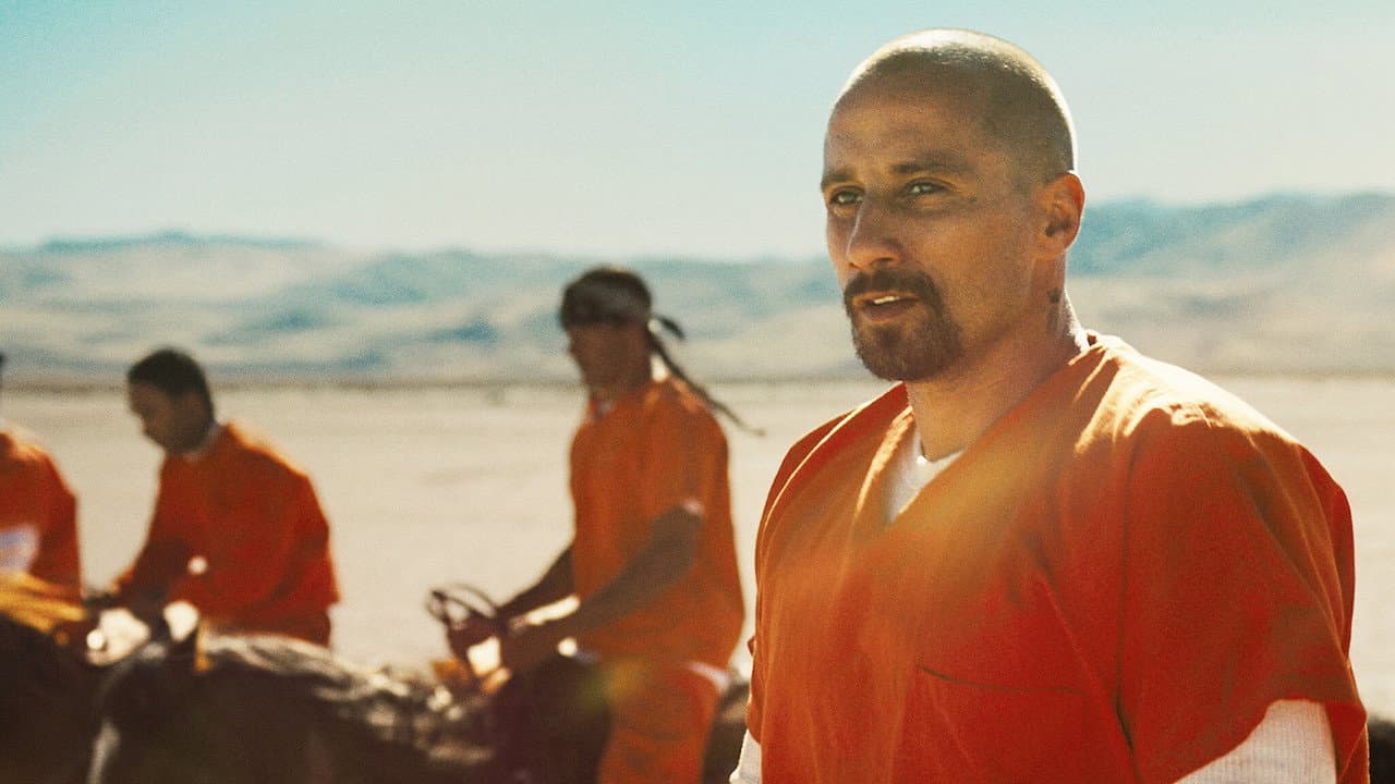 The Mustang still 8