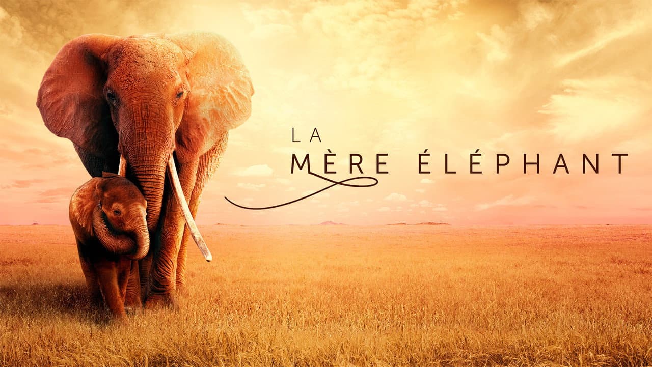 The Elephant Queen still 1