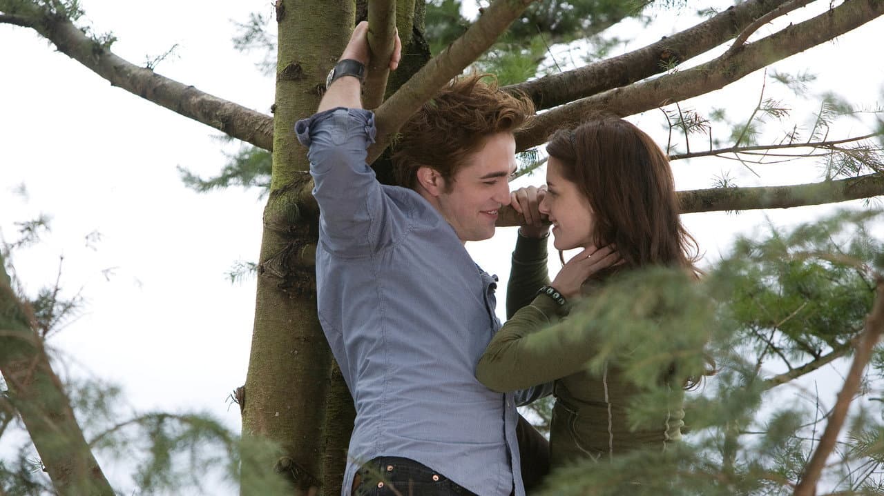 Twilight still 7