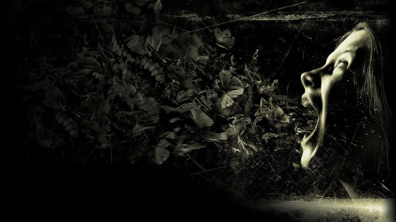 The Possession still 3