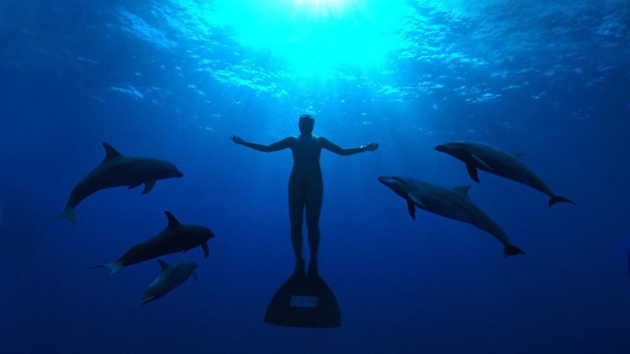 The Cove still 2