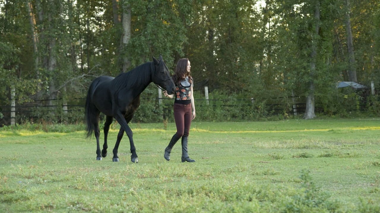 Flicka: Country Pride still 6