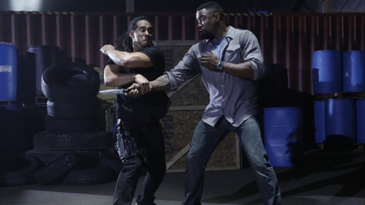 Falcon Rising still 5