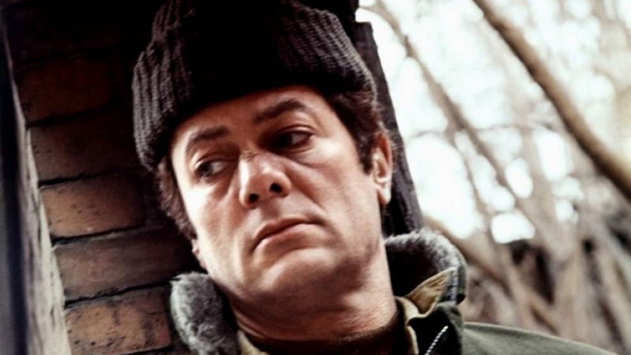 The Boston Strangler still 2